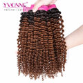 Brazilian Kinky Curly Ombre Human Hair